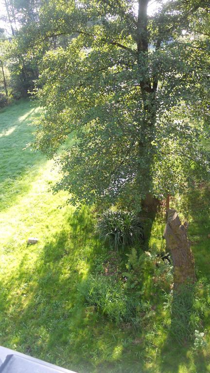 U Dvou Lipek Pod Broumovskymi Stenami Habitación foto
